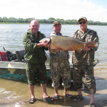 Карп весом 17,2 кг, пойманный на базе «Рыбалка-Лайф»