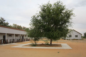 Главная foto 2 razdeli